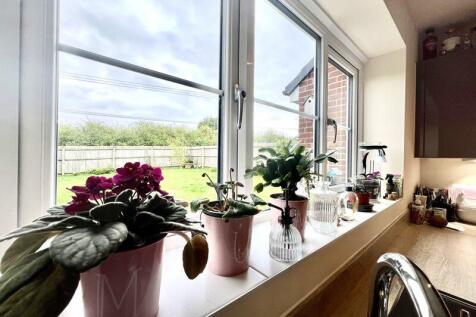 Kitchen View