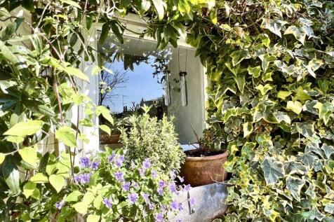 Kitchen Window