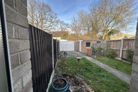 garden.JPG