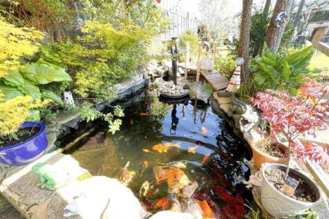 Pond.jpg
