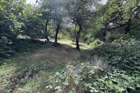 IMG_1401.JPEG