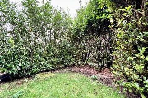 Front garden