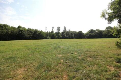 Local Field