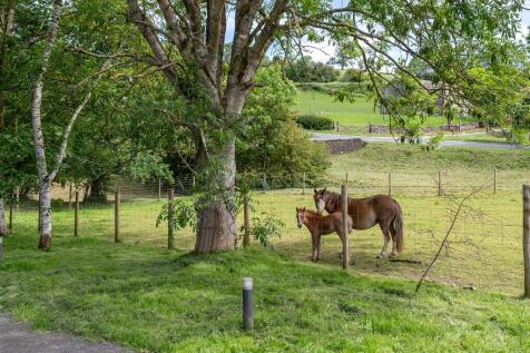 Property Image 54