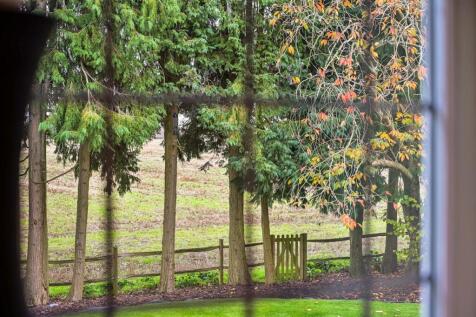 APPLEWOOD (10).jpg