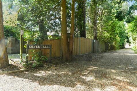 SILVER TREE EXTERNALS- (1).jpg