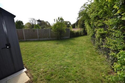 Side garden.JPG