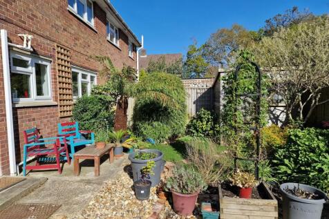 garden 3.jpg