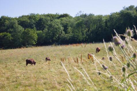 17 barn piece15