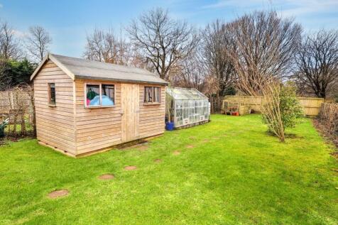 Shed and greenhouse