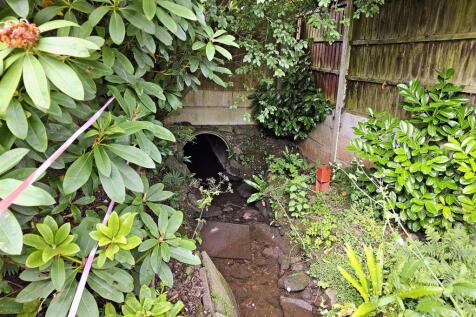 Stream