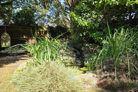 Pond