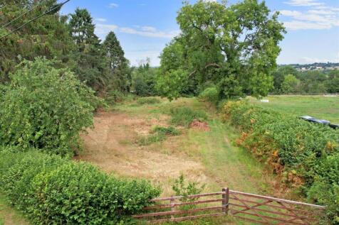 Field