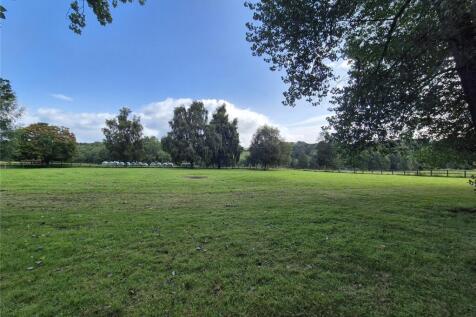 Paddock