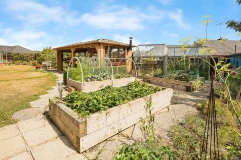 Vegetable Planters
