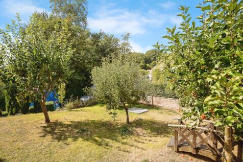 Orchard