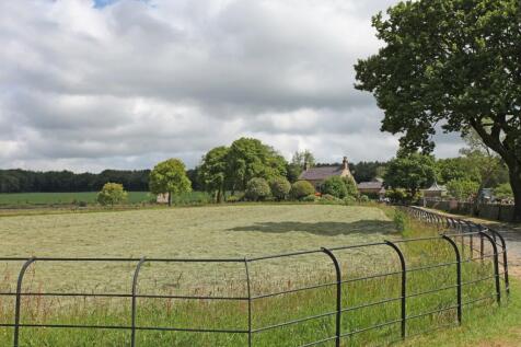 Field to house
