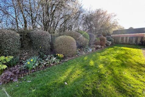 SIDE GARDEN