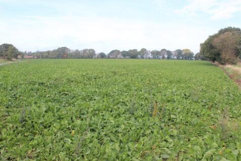 Land at Bursea Lane.JPG