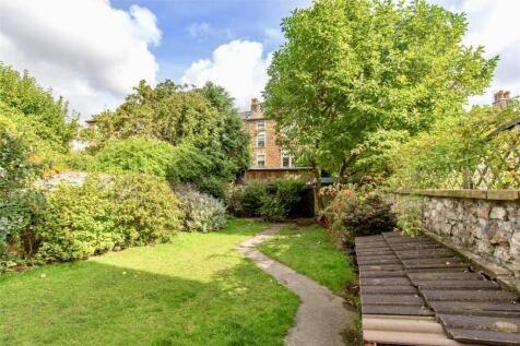 back garden
