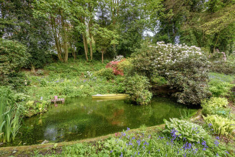Pond 