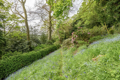 Woodland 