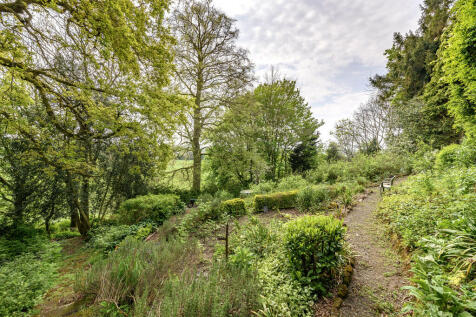 Woodland