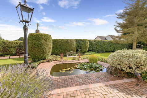 Garden Pond 