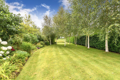 Apple Trees and L...