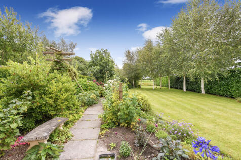 Pathway and Lawns