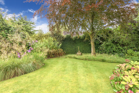 Lawns and Tree