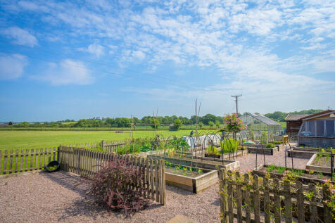 Veg Garden 