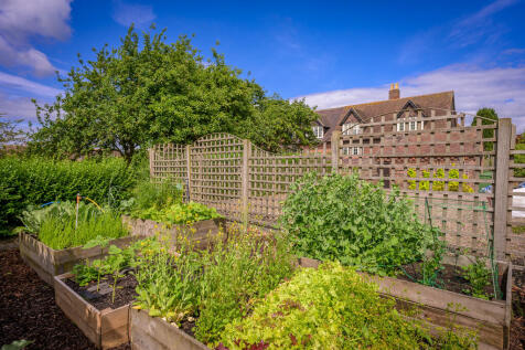 Veg Patch 