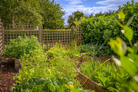 Veg Garden 