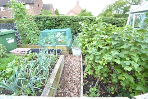 Vegetable Garden 