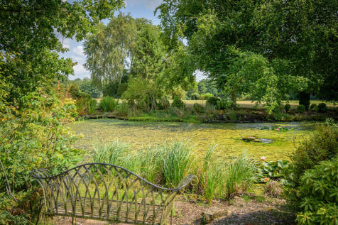 Pond 