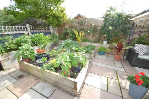 Vegetable Area an...