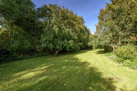 Orchard Area 