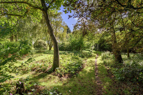 Orchard 