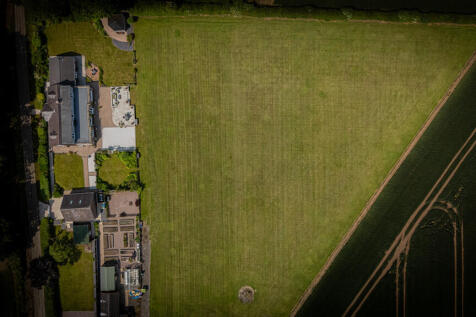 Grounds Highlight...