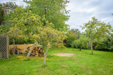 Orchard Area 