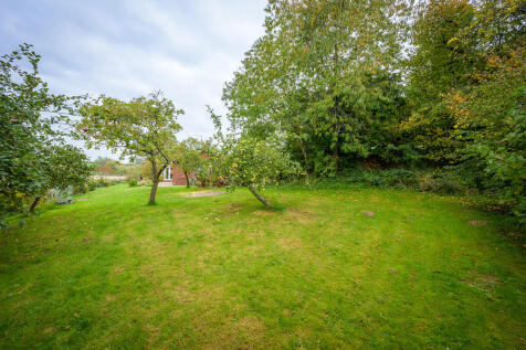 Orchard 