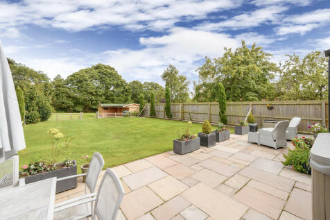 Patio and Lawns 