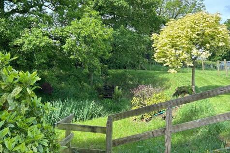 Pond