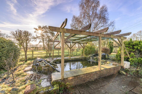 Garden Pond