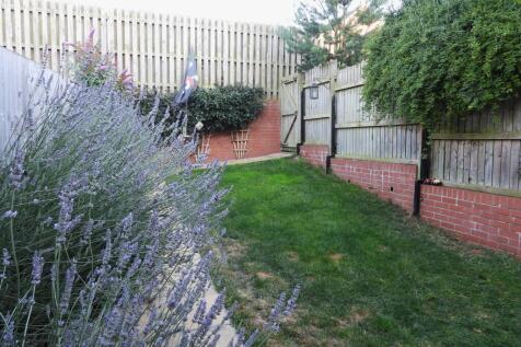 New garden photo
