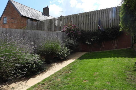 New garden