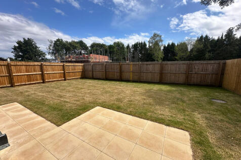 Back garden 2