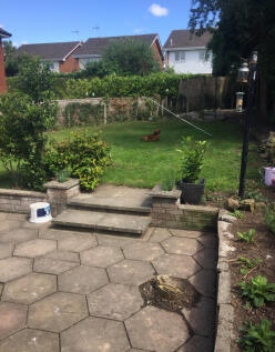 Garden Photo
