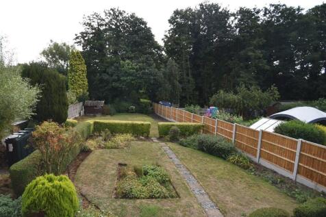 back garden
